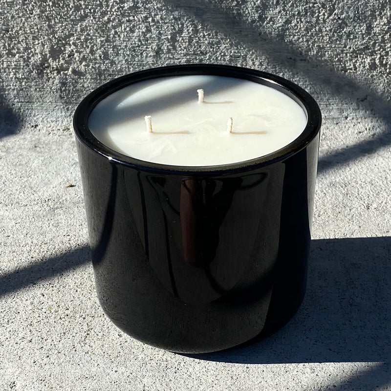 Sea Salt & Orchid | 3 Wick Candle